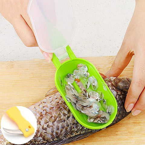 Fish Scale Scraper - Kitchen