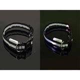 Glowing In The Dark Pet Safety Collar - Safety Collar
