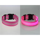Glowing In The Dark Pet Safety Collar - Safety Collar