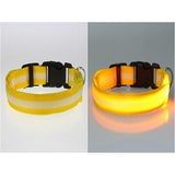 Glowing In The Dark Pet Safety Collar - Safety Collar