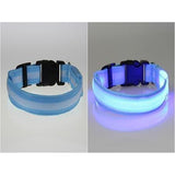 Glowing In The Dark Pet Safety Collar - Safety Collar