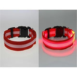 Glowing In The Dark Pet Safety Collar - Safety Collar