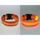 Glowing In The Dark Pet Safety Collar - Safety Collar