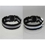 Glowing In The Dark Pet Safety Collar - Safety Collar