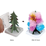 Magic Growing Christmas Tree - Christmas Tree