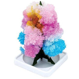 Magic Growing Christmas Tree - Christmas Tree