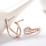 Rose Gold Earrings For Women - Earrings