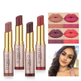 Sexy Waterproof Matte Lipstick - Makeup