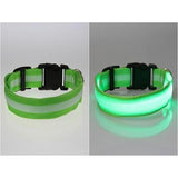 Glowing In The Dark Pet Safety Collar - Safety Collar