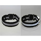Glowing In The Dark Pet Safety Collar - Safety Collar