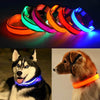 Glowing In The Dark Pet Safety Collar - Safety Collar