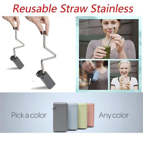 Reusable Stainless Steel Straw - Straw